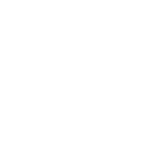 Logo Agency Sécurité